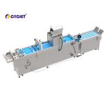 CYCJET CVI 450-VD Automated Visual Inspection Machine For Coding Machine for sale