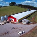 Modern Design Steel Structure Broiler House Chicken Warehouse For Farmhouse for sale