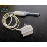GE RIC6-12-D Ultrasound Transducer Dome Replacement And 4D Maintenance