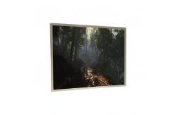 China 18.1 INCH Medical Imaging lcd display panel 1280*1024 R181E1-L01 supplier