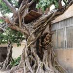 HAIHONG GRC Landscape Construction With Excellent Texture for sale