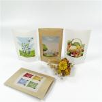 Biodegradable 100mircon VMPET Kraft Paper Packaging Bag for sale