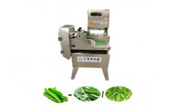 China Multifunction 20mm 500kg/H Green Leafy Vegetable Cutter supplier