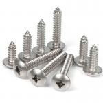 SS304 316 Truss Pan Mushroom Umbrella Head Cross Wood Self Tapping Screw for sale