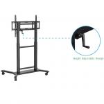 55 86 Interactive Whiteboard Stand 200KGS With Standare VESA Easy Use And Install for sale