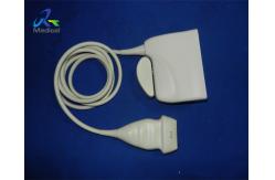 China Breast 3MHz Linear Array Ultrasound Probe 60 Days Warranty supplier