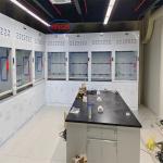 Reliable Polypropylene Chemical Fume Hood Lab Stink Cupboard ≤60dB Noise 400m3/h Airflow for sale