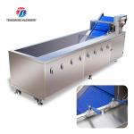 3KW Circumvolving Fruit And Vegetable Cleaning Machine , Sedimentation Tank Apple Cleaning Machine for sale