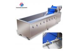 China 3KW Bubble Circulating Surfing Fruit And Vegetable Washing Machine Ozone Sanitization Bubble supplier