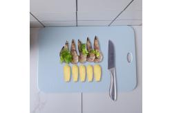 China Healthy PP Plastic Chopping Board  To Cut Fruits Meat Vegetables supplier
