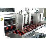 Fully Automatic Corrugated Box Die Cutting Machine With Stripping