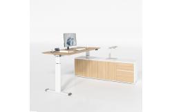 China Electric Office Desk Dual Motor Stand Desk Up Height Adjustable Table supplier