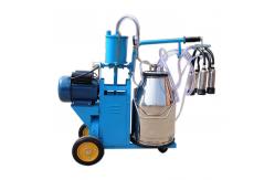 China Single Bucket Piston Pump Portable Milking Machine Professional Small Cow Goat supplier
