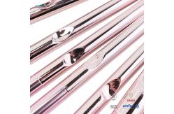 China Recyclable Synthetic Plastic Makeup Brushes Eco Friendly 10 Pieces BSCI supplier