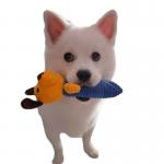 Dog Sound Pets Plush Toys Bite Resistant Molar Teething Soft Toy