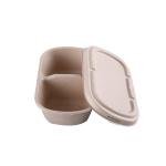 Sugarcane Bagasse Food Container Lunch Food  Bagasse Take Out Refrigerator for sale