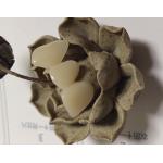 Natural Colour Resin Based Composite Crowns for sale