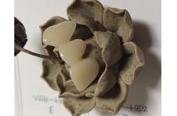 China Natural Colour Resin Based Composite Crowns supplier