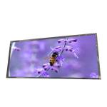 25.0 Inch Tft Lcd Panel LM250WW1-SSA2 Lg Original Desktop Monitor for sale