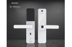 China Sliver Electronic Door Lock Fingerprint Door Lock CE RoHS Approval supplier