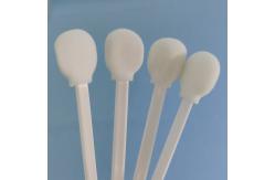 China Round Sponge Head White Pp Stick Foam Tip Swabs Lollipop Shape supplier