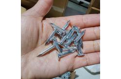 China 25mm Electro Glavanized Steel Concrete Nails With Wide Flat Head supplier