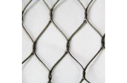 China Good Perspective Stainless Steel Zoo-Eagle Mesh With SGS / ISO 9001 Certification supplier