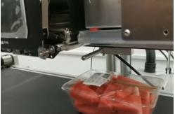 China Provided Scale Sticker Labeling Machine for Fresh E-commerce Fruits and Vegetables supplier