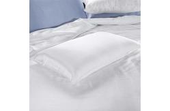 China Custom 24x24 Mulbery Silk Pillowcase Anti Aging ECO Friendly supplier