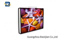 China Lenticular Plastic Envelope Folder , Expanding Document Folder 3D UV Printing supplier