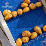 Multifunctional Fruit And Vegetable Processing Line Hoisting Machine