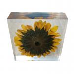 cubic Acrylic resin paper weight with custom embedding inside for sale