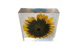 China cubic Acrylic resin paper weight with custom embedding inside supplier
