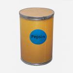 3000NF/Mg Pepsin Enzyme Pepsin Powder Customized Enzyme Activity for sale