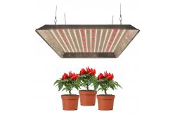 China 320w UV IR Separately Quantum Horticulture Led Grow Lights supplier