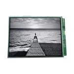 EDTCB29QB0 10.4 inch LVDS TFT- LCD  Screen Panel for sale