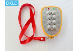 China 8-Way Switch Industrial Wireless Remote Control supplier