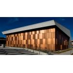 Nontoxic Brushed Gold Aluminum Composite Plastic Board Building Material Wall Cladding for sale