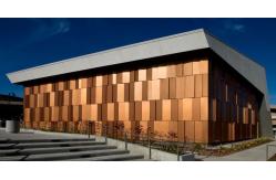 China Nontoxic Brushed Gold Aluminum Composite Plastic Board Building Material Wall Cladding supplier