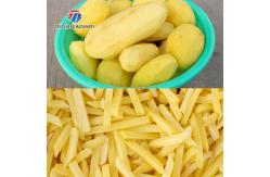 China Carrot Slicing Cutter 1500KG/H Potato Chips Making Machine supplier