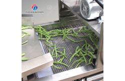 China Silver Fruit And Vegetable Processing Line for Processing of Vegetables supplier