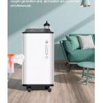 Household Medical 10L Portable Oxygen Concentrator With Nebulizer for sale