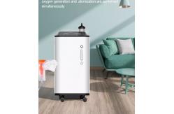 China Household Medical 10L Portable Oxygen Concentrator With Nebulizer supplier