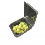 Strawberry Plastic Packaging Boxes PET Clamshell Containers for sale