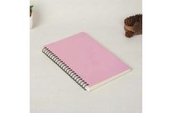 China Custom 80 Sheets Coil Personalized Spiral Notebook School Student For Promotion supplier