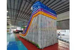 China Adult Outdoor Inflatable Water Slides Palm Tree Jumping Bouncy Castle supplier
