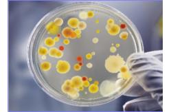 China RAL 9003 Protective Antimicrobial Powder Coating For Indoor Metal Surface Coating supplier