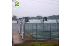 China China Factory Multi-span Tempered Glass Venlo High Peak Intelligent Agricultural Greenhouse supplier