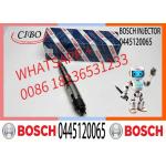 Common Rail Fuel Injector Diesel Injectors 04290988 0986435559 0445120065