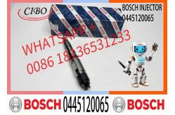 China Common Rail Fuel Injector Diesel Injectors 04290988 0986435559 0445120065 supplier